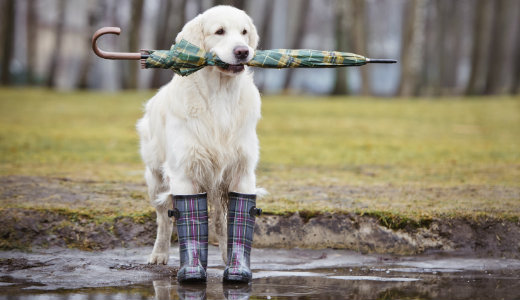 Egy lesz biztos a h�tv�g�n, a v�ltoz�kony id�