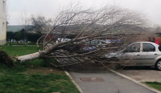 F�kat d�nt�tt ki a sz�l Budapesten