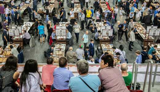 Le�gt�nk a sakkolimpi�n, megk�sz�nte a korm�nynak a nagymester