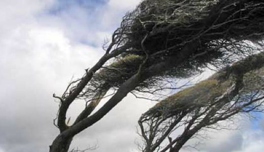 Soha nem volt m�g ekkora sz�l Budapesten