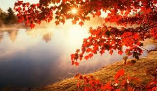 M�g vas�rnap is kigombolt kab�tban s�t�lhatunk