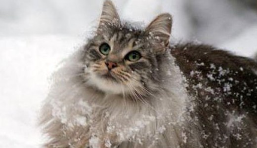 Itt a t�l: a Dun�nt�lon sz�lling�zik a h�