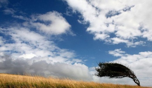 Brut�lis sz�lvihar s�p�rt v�gig az orsz�gon: �ri�si puszt�t�st v�gzett, m�g egy sportcsarnok tetej�t is felt�pte