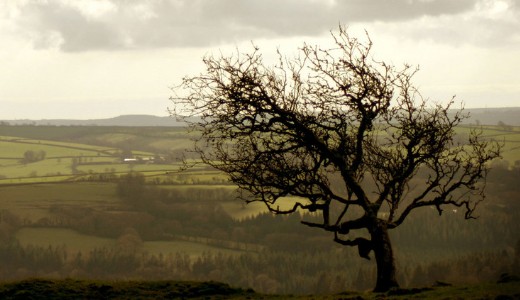 Sz�lvihar, m�nuszok: bedurvul az id�j�r�s, figyelmeztet�st adott ki az OMSZ 