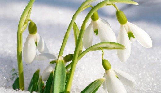 Jelent�s leh�l�s helyett csak fejf�j�st hozott a hidegfront