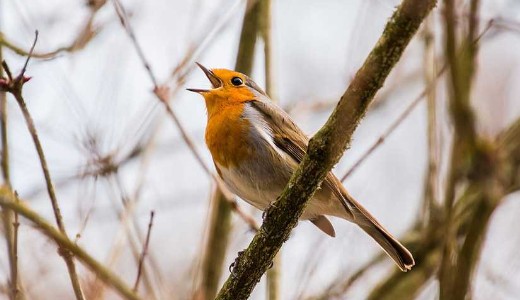 Mutatjuk, milyen id� lesz a sz�lviharok ut�n a h�t v�g�n: itt a friss el�rejelz�s 