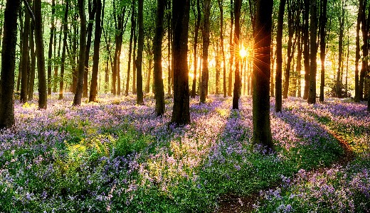 Napos id�re sz�m�thatunk vas�rnap