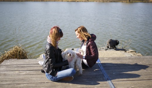 �lvezze ki a j� id�t, h�tf�n �jabb leh�l�s j�n