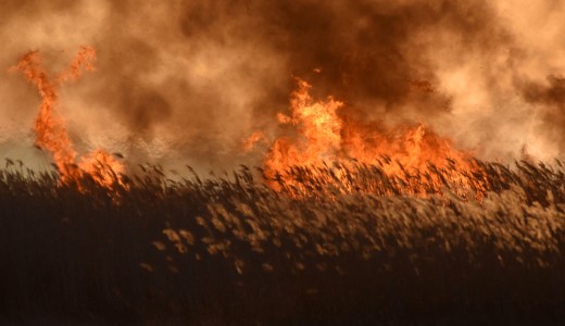 M�sf�l kilom�ter hosszan �g a n�das Fony�don