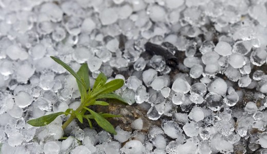 Itt az �t�letid�: brut�lis j�ges�vel csapott le az orsz�gra egy hidegfront