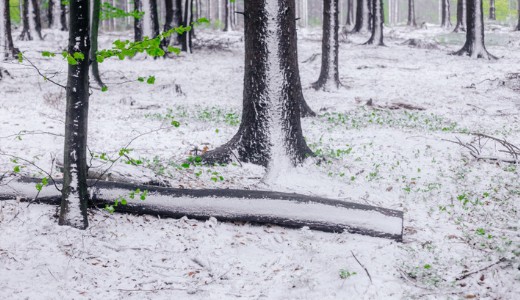 M�r havazik a K�szegi-hegys�gben