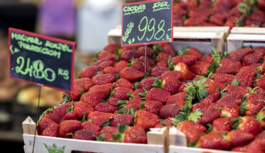 Epres �tver�s: laborat�riumi vizsg�latot is tervez a N�bih