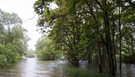 Vill�m�rv�z csapott le Somogyban, foly� lett az utakb�l 