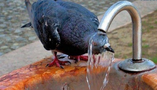 Rekken� h�s�ggel indul a j�lius h�tf�n, hogy kedden m�ris hidegfront friss�tsen