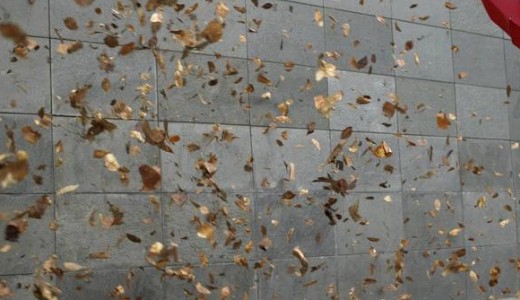 �gy n�z ki m�r most elb�cs�zhatunk a ny�ri melegt�l