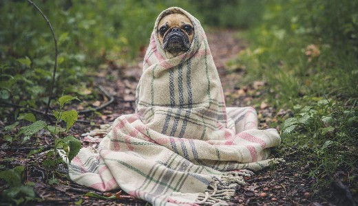 �jszaka megd�lt a hidegrekord