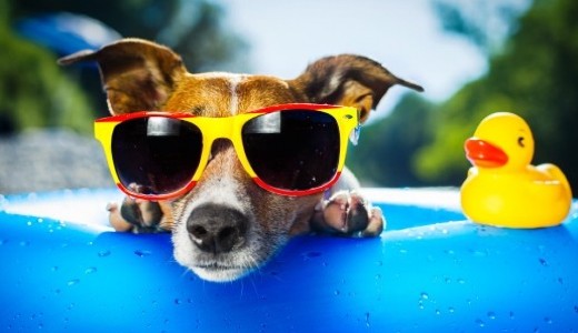 J�l �rzi, hogy nem norm�lis ez a meleg