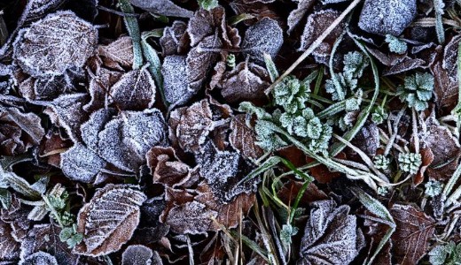 Kezd�dik: fagyokra �s hidegfrontra figyelmeztet a meteorol�gia – P�r nap, azt�n f�thet�nk 