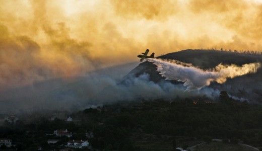 Egy nap alatt 80 �j erd�t�z �t�tt ki G�r�gorsz�gban