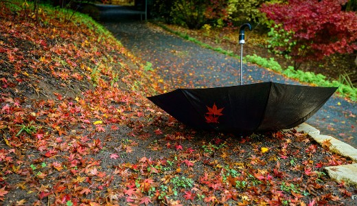 Jelent�s leh�l�s v�rhat� a j�v� h�ten