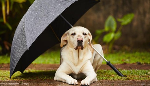 K�sz�lj�n, mert holnap t�nyleg r�nk szakad az �g: ezekre a ter�letekre adtak ki m�sodfok� riaszt�st 