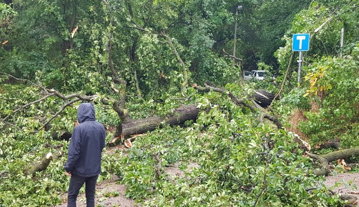 Budapestre lesjtott a brutlis vihar, fkat csavart ki a szl